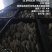 反季节平菇大量上市，，，，