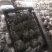 反季节平菇大量上市，，，，