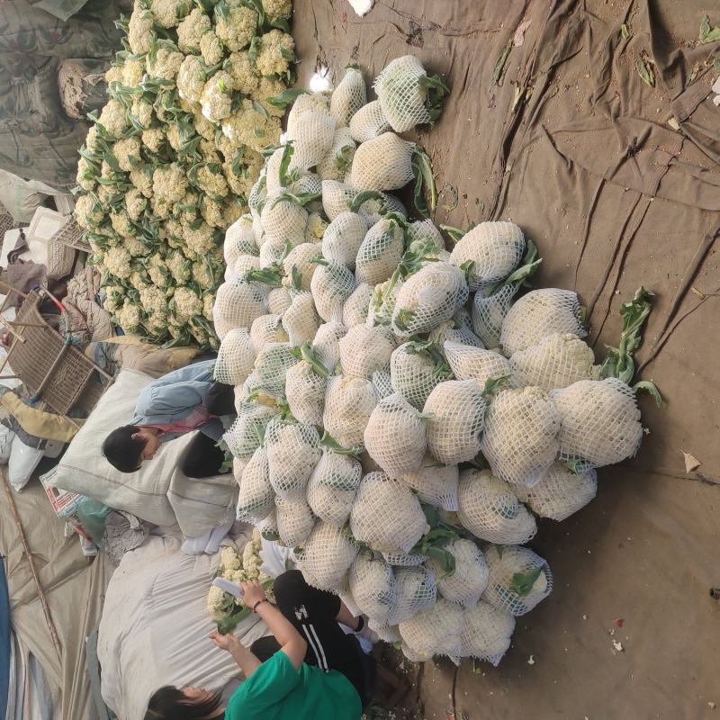 精品有机青梗菜花