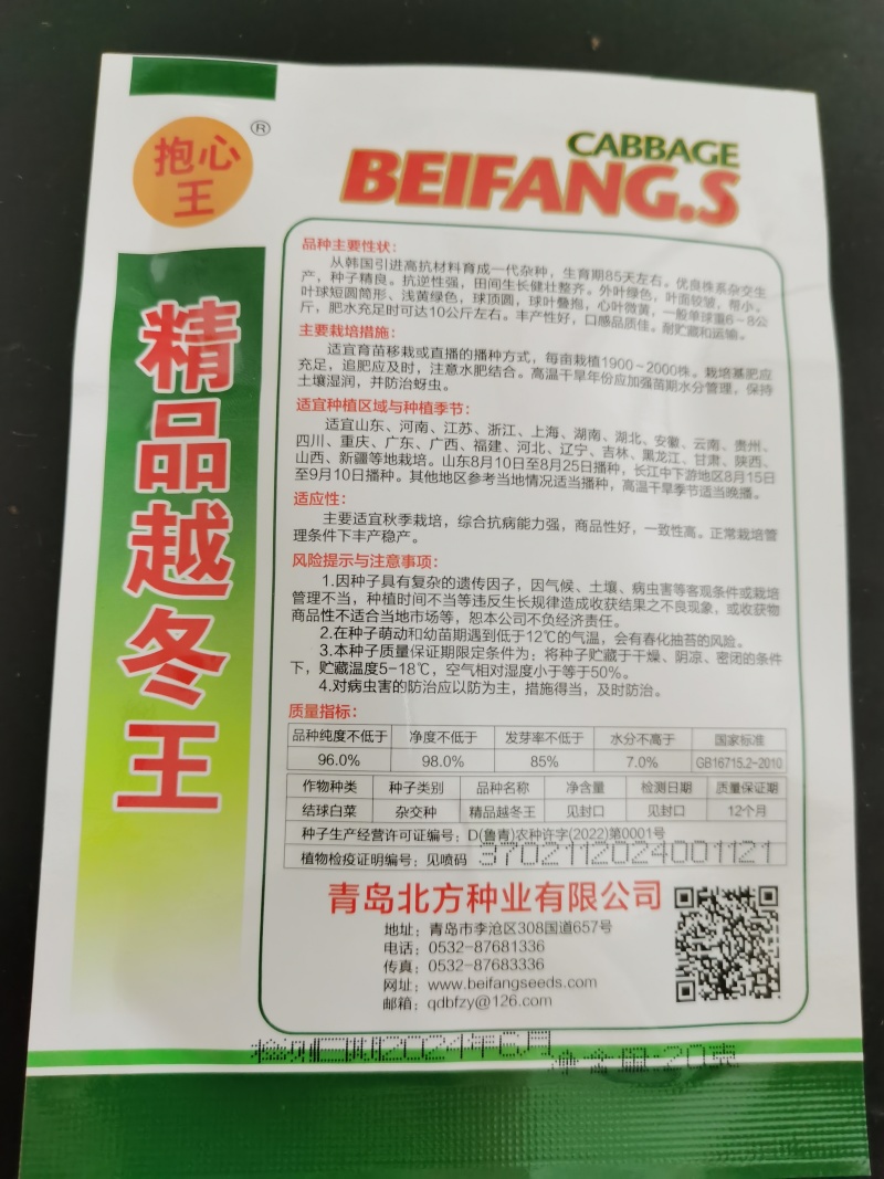 越冬王精品越冬大白菜杂交一代种子菜基地品种
