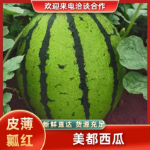 精品露天美都西瓜一手货源诚信经营质量保证欢迎咨询