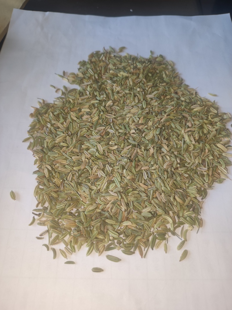 小茴香，甘肃张掖发货茴香500吨