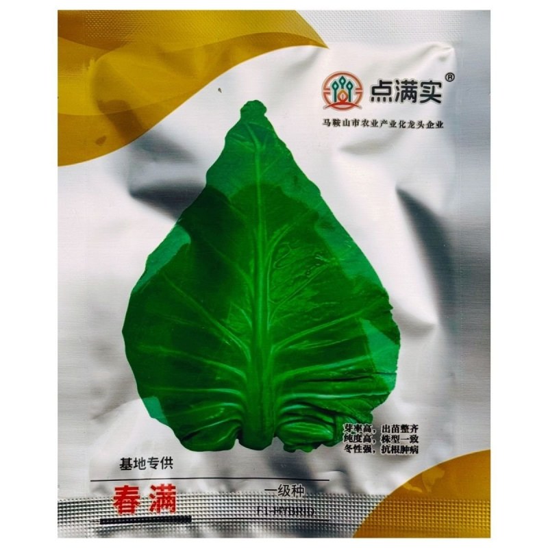 春满甘蓝种籽牛心甘蓝包心菜卷心菜早熟耐寒抗病叶球桃形结球