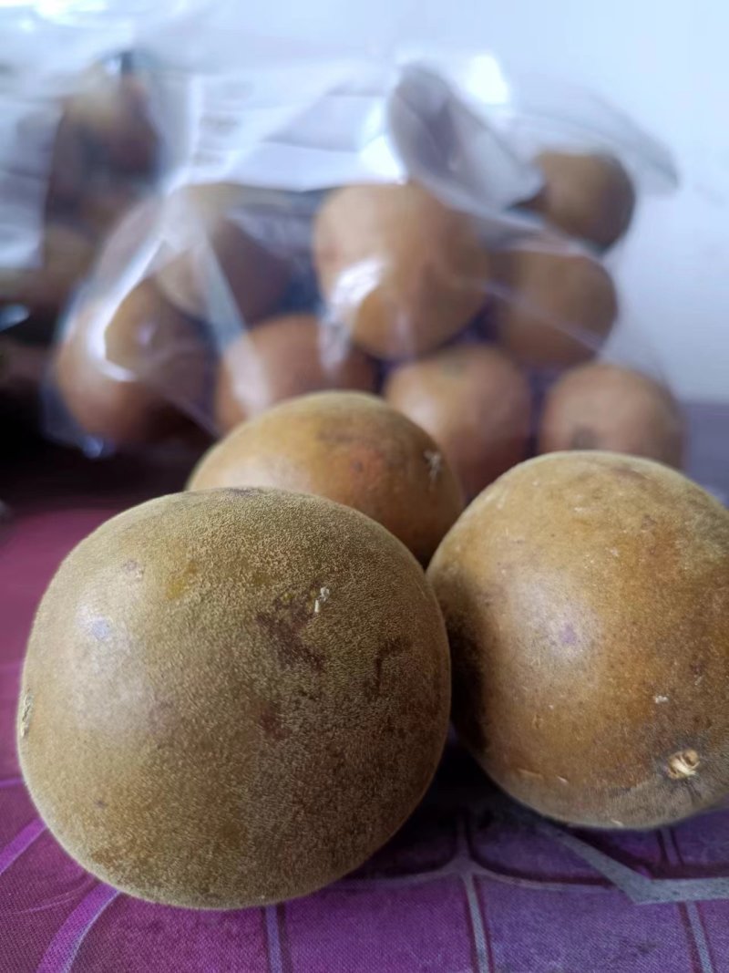 罗汉果产区直发保质保量货量充足欢迎电话联系