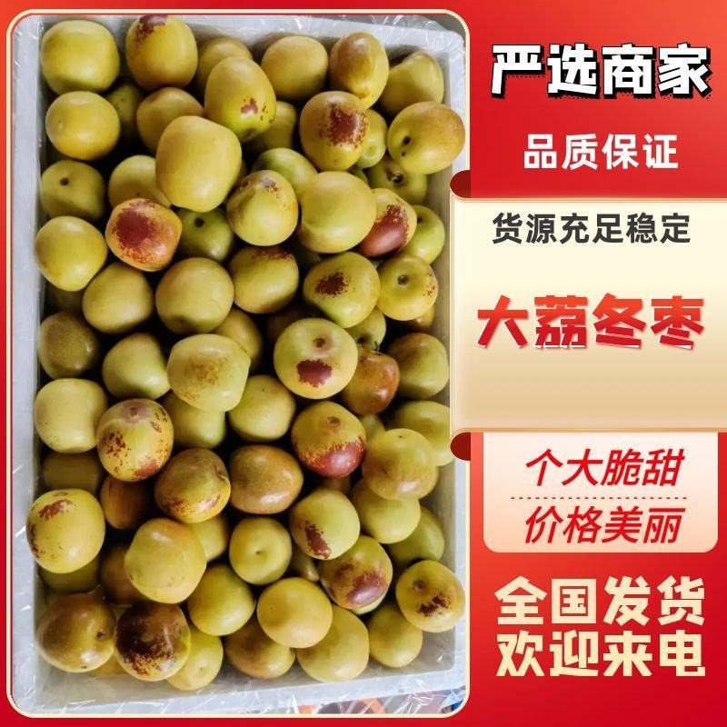 陕西大荔冬枣基地，范家镇大棚冬枣价格，冬枣产地批发