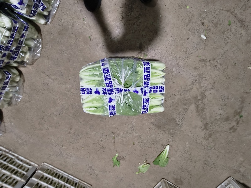 精品快菜，毛白菜，小白菜，质量保证，产地直发，全年供应