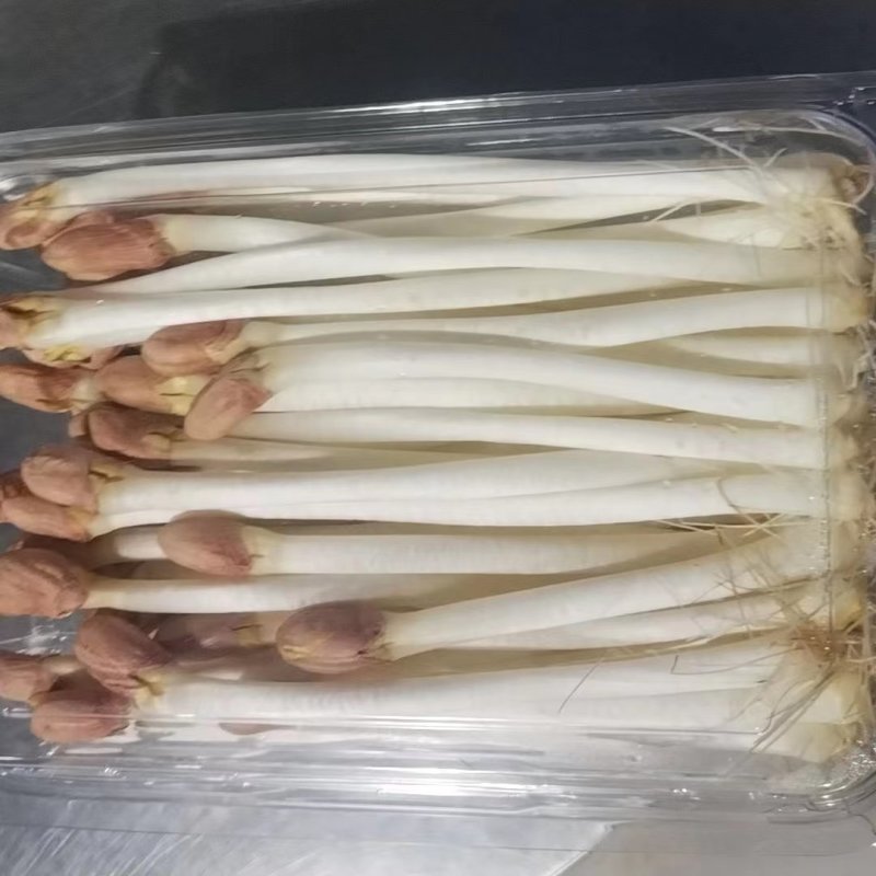 袋装/盒装精品花生芽按需包装对接各大商超市场社区团购