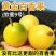 钦密九号黄金百香果大量批发供应！一件代发
