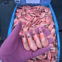 一件10.5-11斤北极甜虾150/头子甜虾