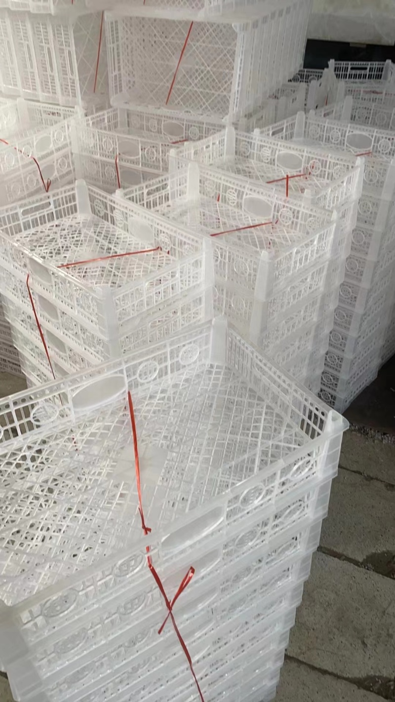 山东厂家直供，周转筐塑料筐各种规格水果筐大量有货