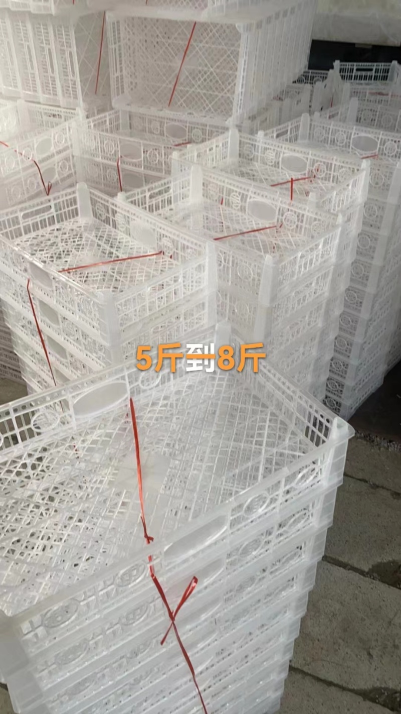 山东厂家直供，周转筐塑料筐各种规格水果筐大量有货