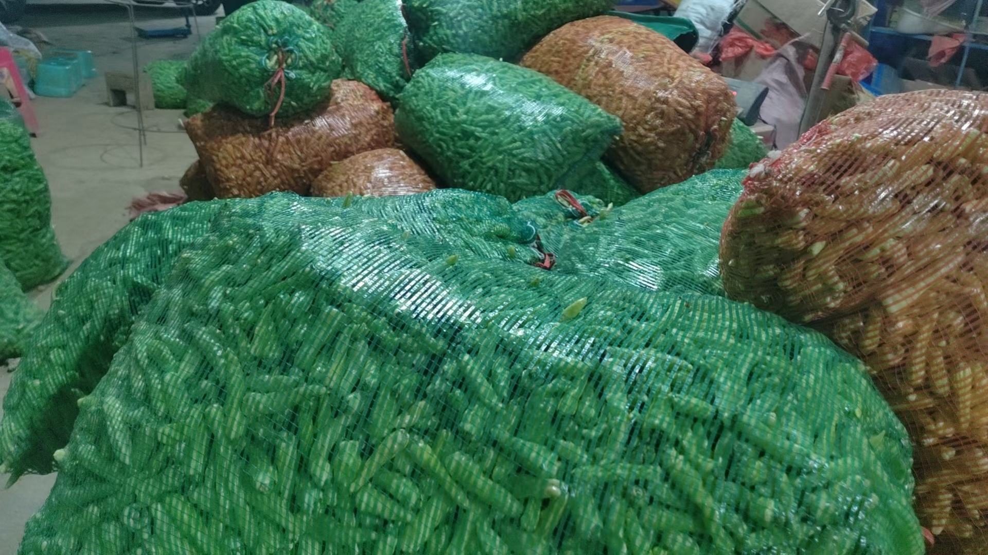 图片展示一个热闹的农贸市场,摊位上堆满了新鲜的小米椒,顾客正在挑选购买 小米椒在农贸市场销售场景