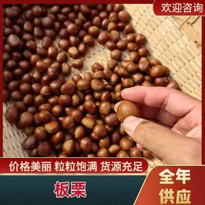 迁西板栗河北唐山迁西前期3113板栗一包起发，糖炒板栗