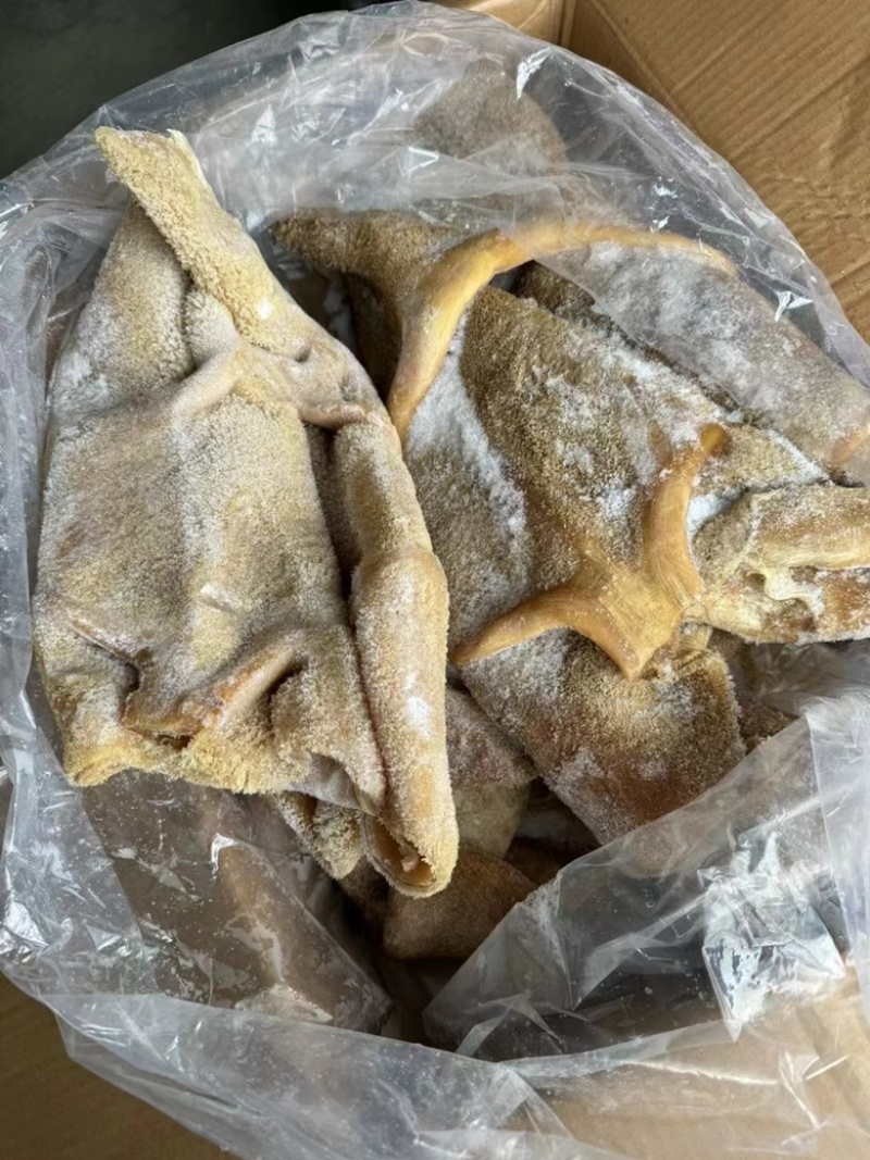 郑州牛肚品质保证诚信经营欢迎联系接商超市场电商