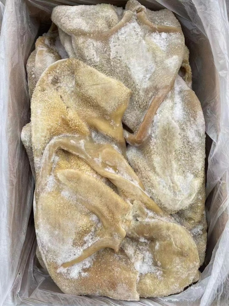 郑州牛肚品质保证诚信经营欢迎联系接商超市场电商