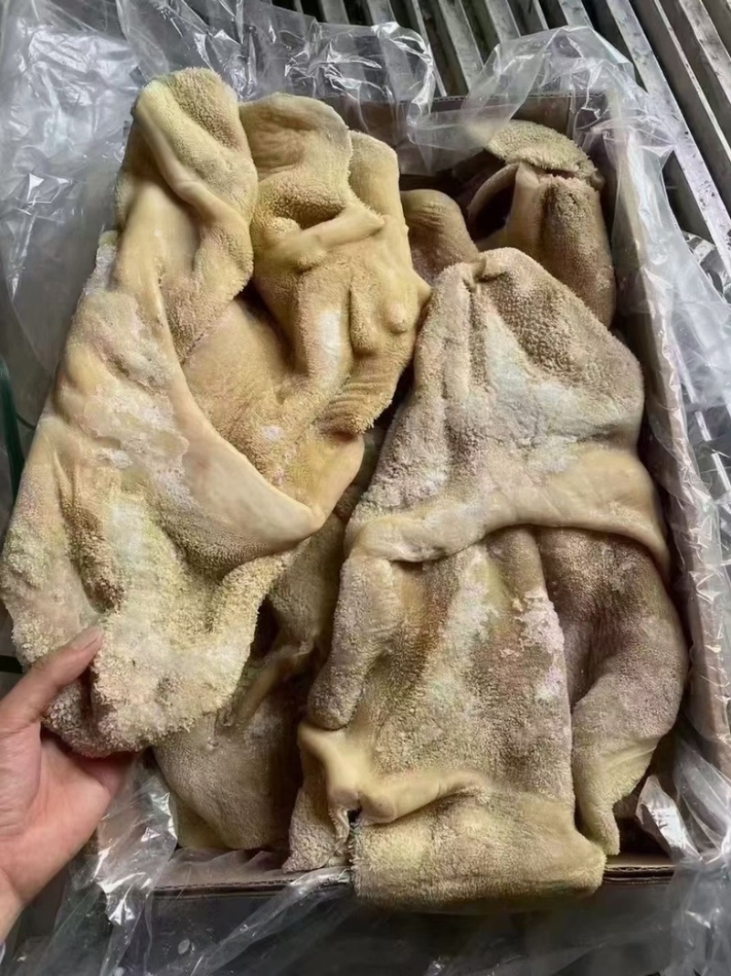 郑州牛肚品质保证诚信经营欢迎联系接商超市场电商