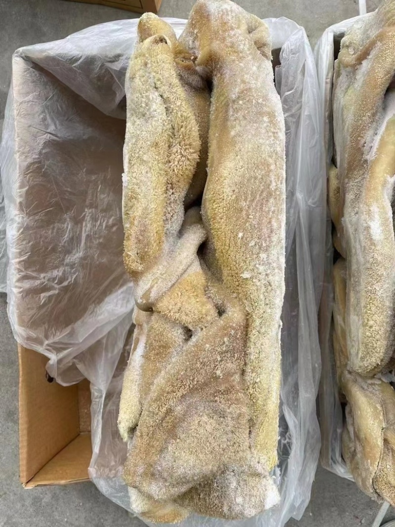 郑州牛肚品质保证诚信经营欢迎联系接商超市场电商