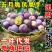 凤凰李一件代发五月脆空心李子脱骨脆红李