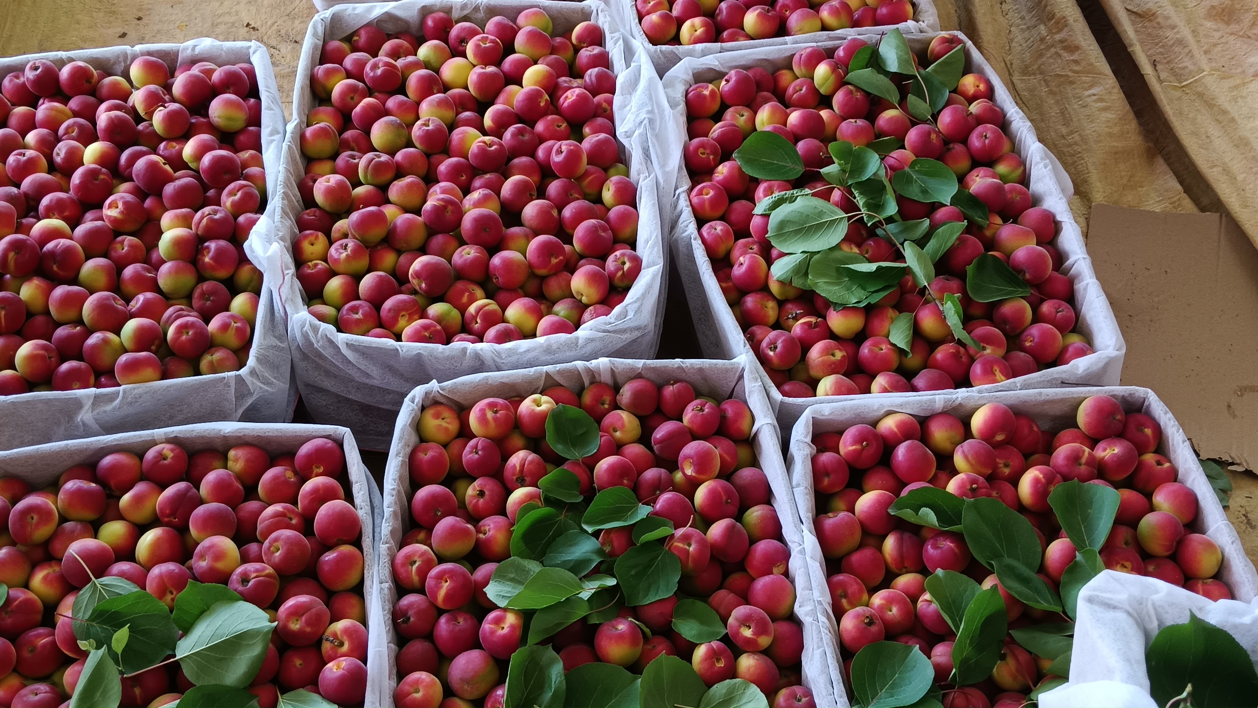 家庭祭祖场景中的供桌布置