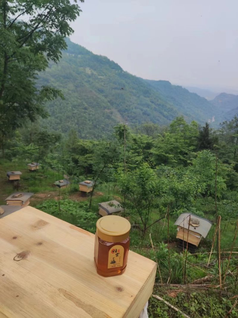 土蜂蜜山花蜜百花蜜无添加剂品质保证诚信经营全国发货