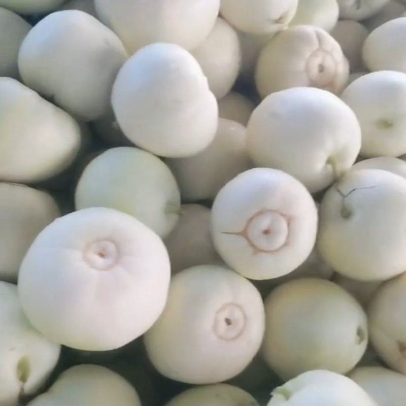 美农