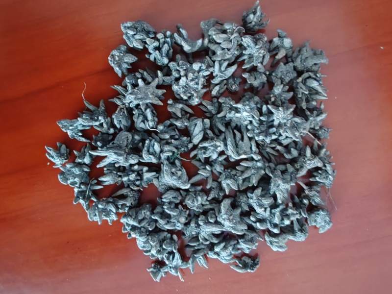 批发纯野生猫爪草（特级货），一手货源，诚信经营！