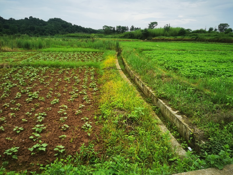 村集体500亩平地旱地，水浇地，流转出租