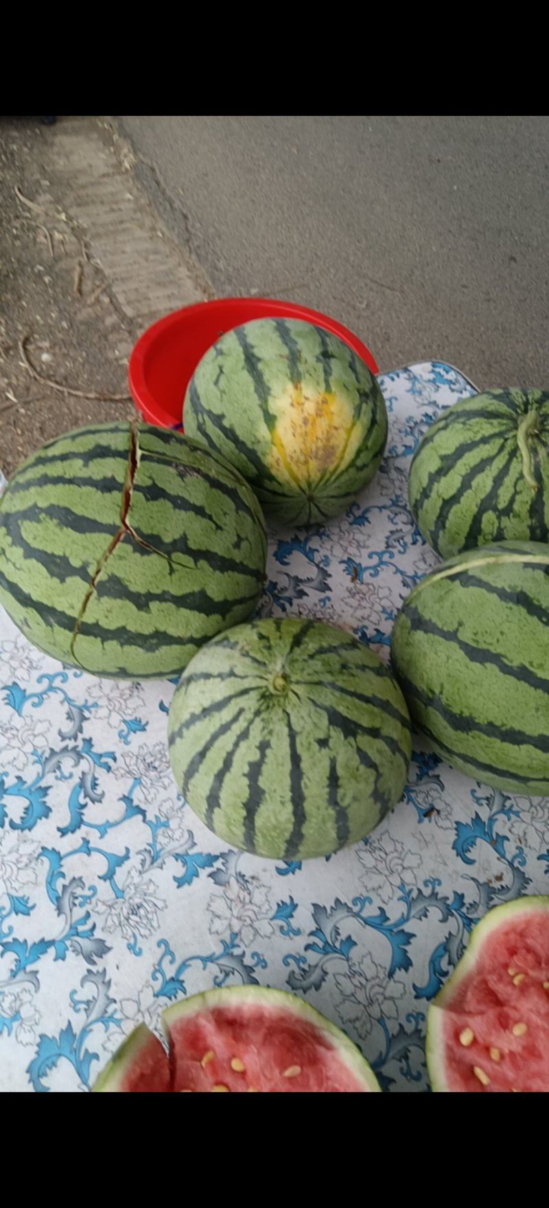 丽园西瓜