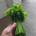 树仔菜