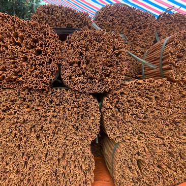 野生桂皮质量优良品质良好