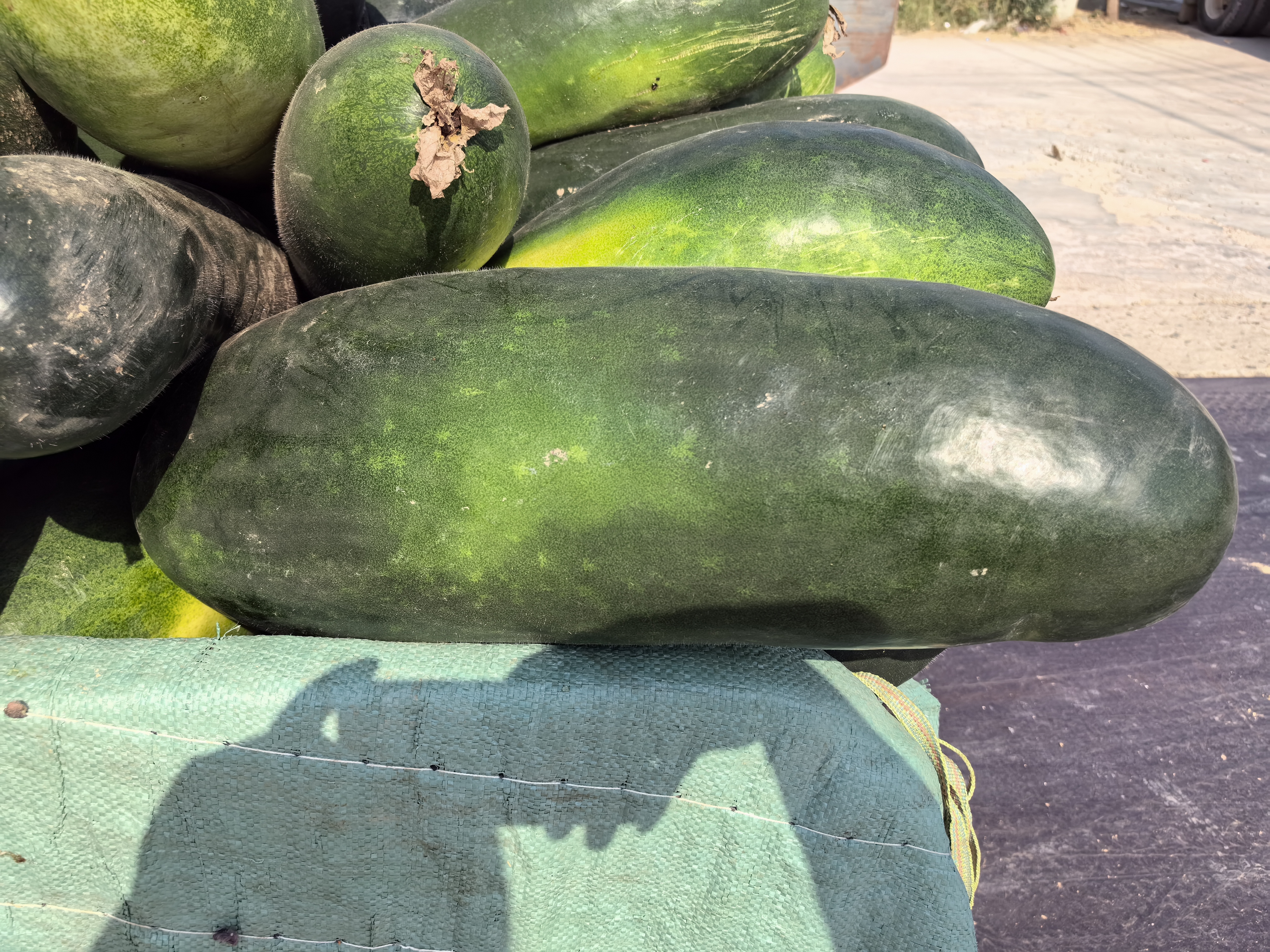 冬瓜干成品展示图