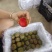 湖北李子大量供应澳洲红八宝丹五月脆大小宝石脆甜爽口量大优