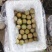 湖北李子大量供应澳洲红八宝丹五月脆大小宝石脆甜爽口量大优