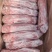 兔肉规格齐全厂家直发兔产品新鲜冷冻全国冷链物流发货