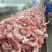兔肉规格齐全厂家直发兔产品新鲜冷冻全国冷链物流发货