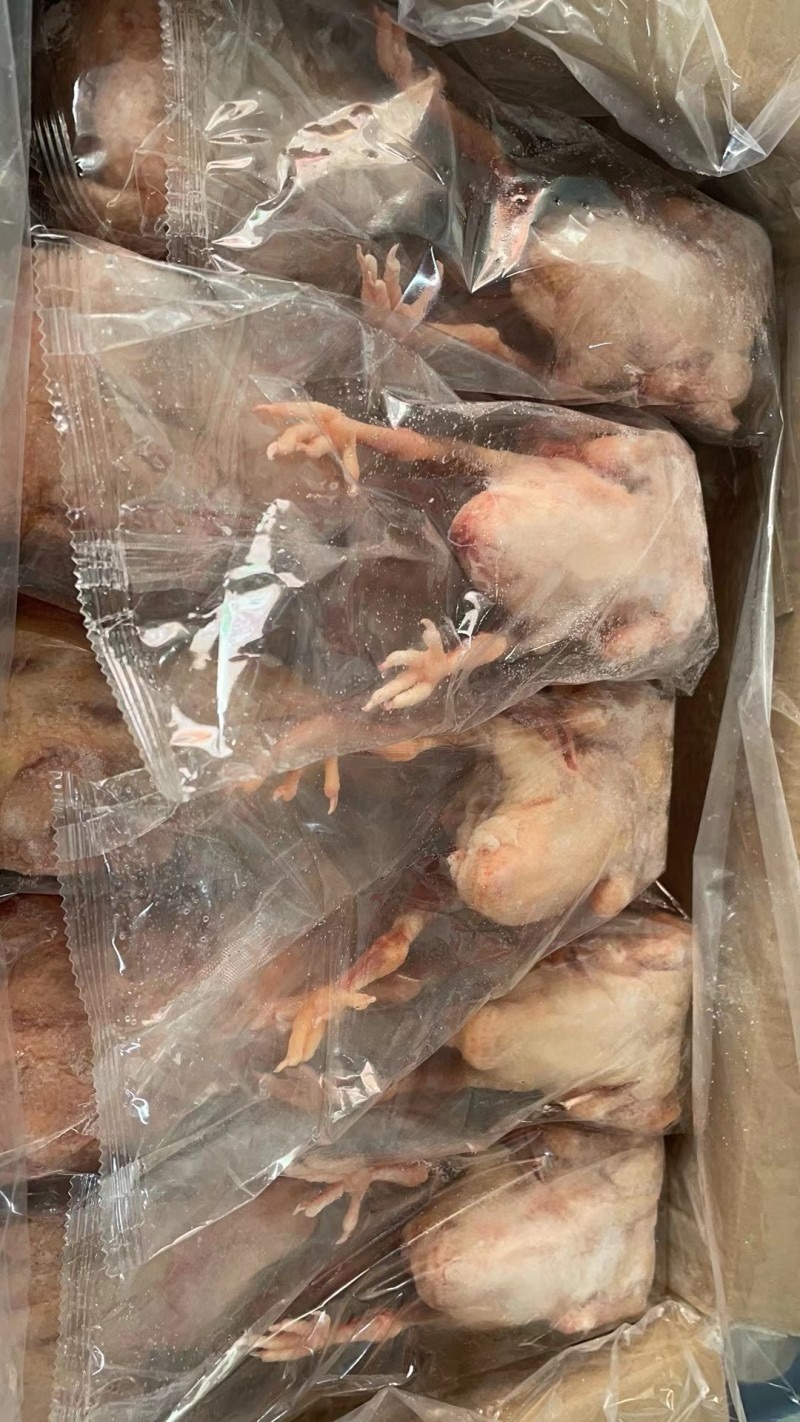 鸽子白条鸽子肉规格齐全厂家发货质量稳定全国发货