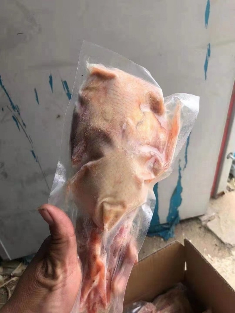 鸽子白条鸽子肉规格齐全厂家发货质量稳定全国发货
