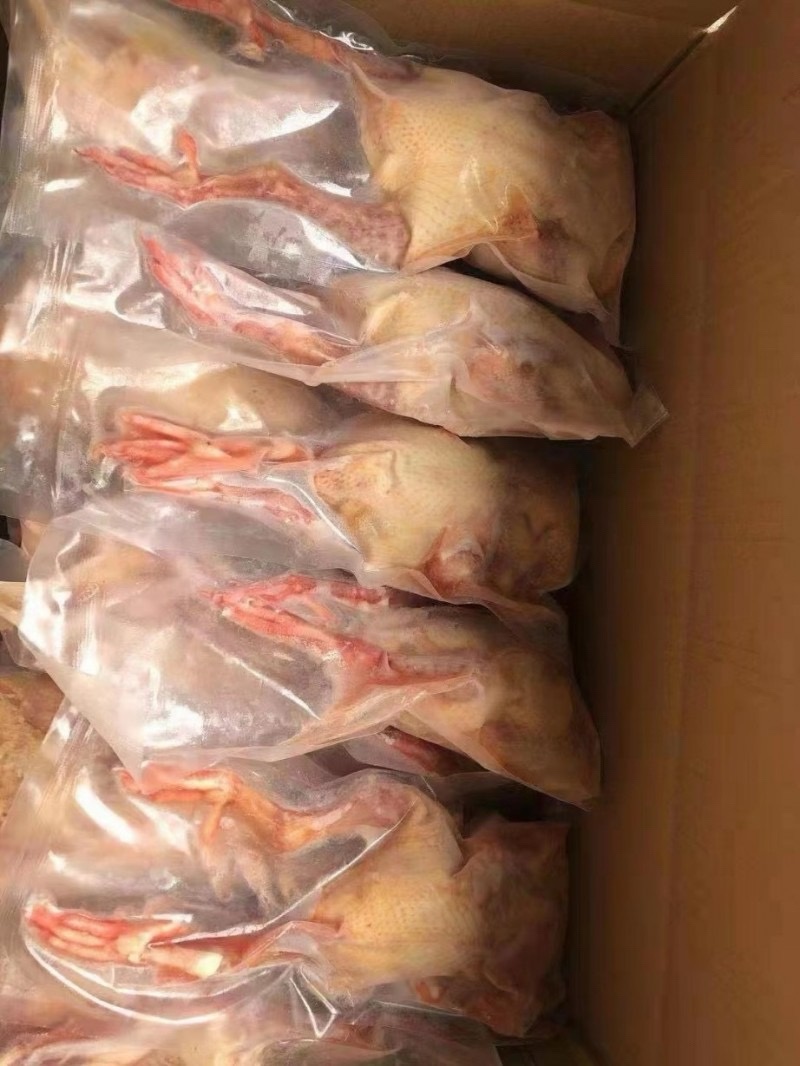 鸽子白条鸽子肉规格齐全厂家发货质量稳定全国发货