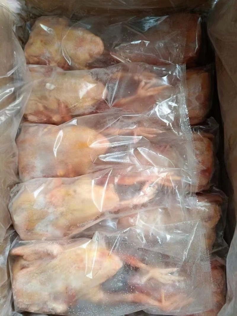 鸽子白条鸽子肉规格齐全厂家发货质量稳定全国发货