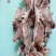 去骨全熟羊头肉纯干无毛大白脸