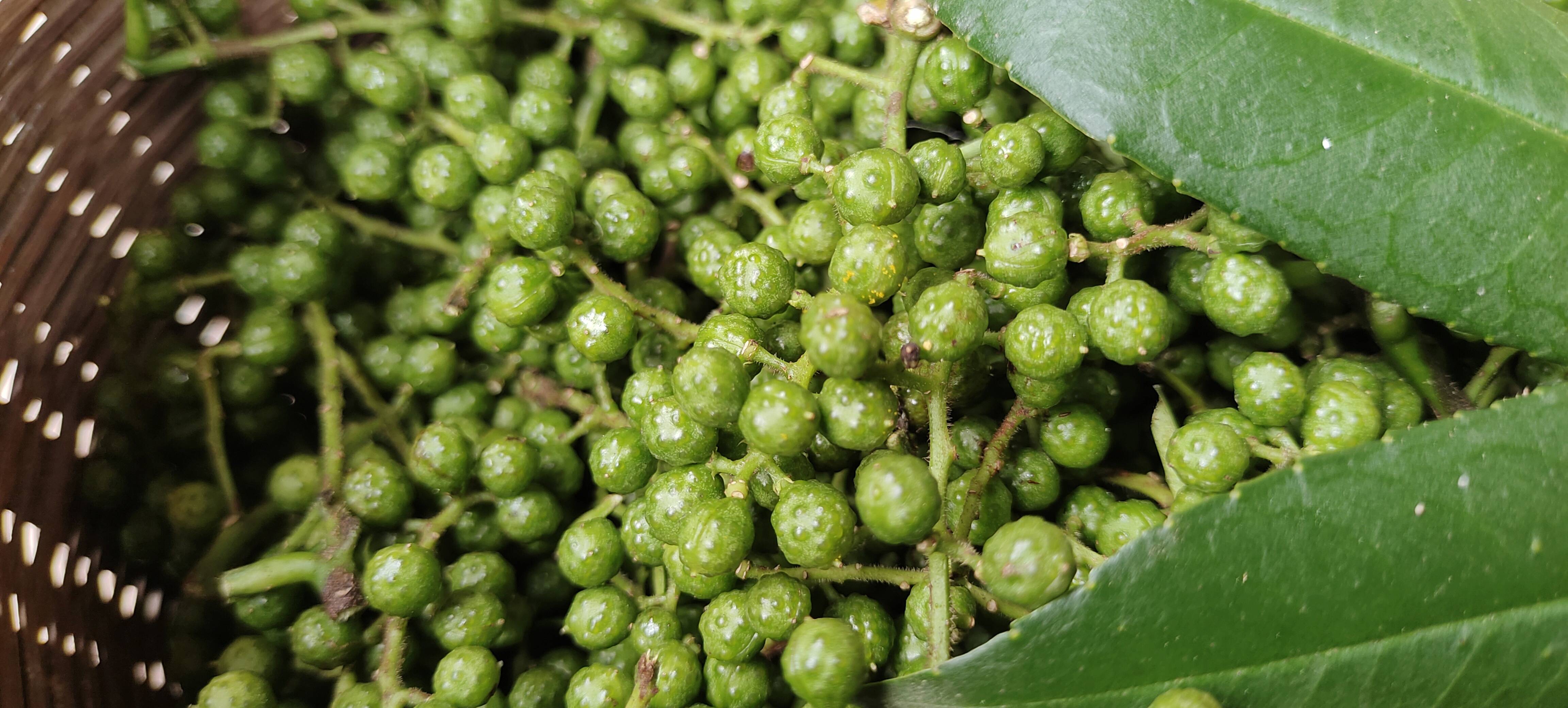 展示胡椒与花椒在外观、口感上的区别,突出胡椒不具备‘麻’感 胡椒与花椒对比图