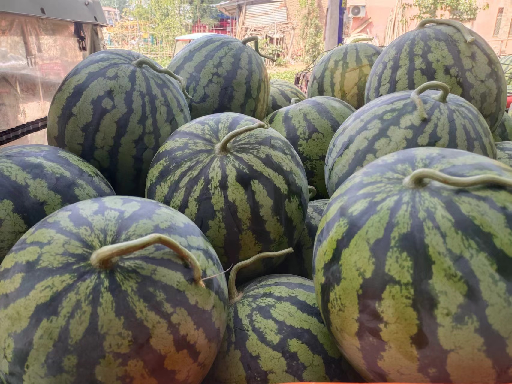 西瓜酸奶沙拉成品图