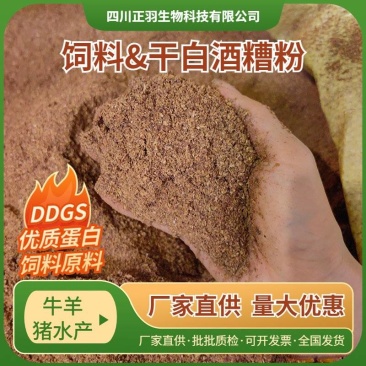 浓香干酒糟粉蛋白13，烘干白酒糟粉饲料原料，酒糟厂家