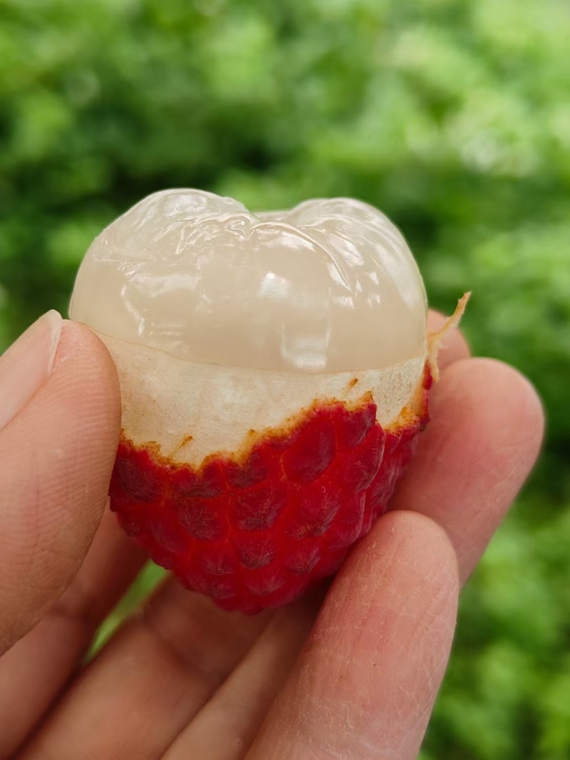 糯米糍荔枝