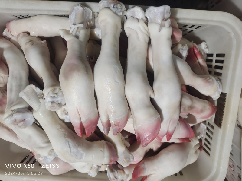 小牛蹄