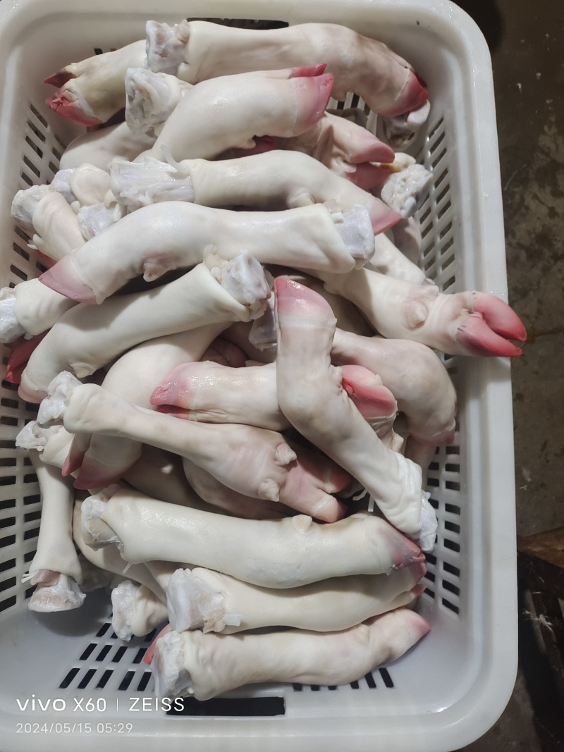 小牛蹄