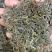 新蒲公英茶叶，大量有货欢迎电话联系沟通洽谈合作