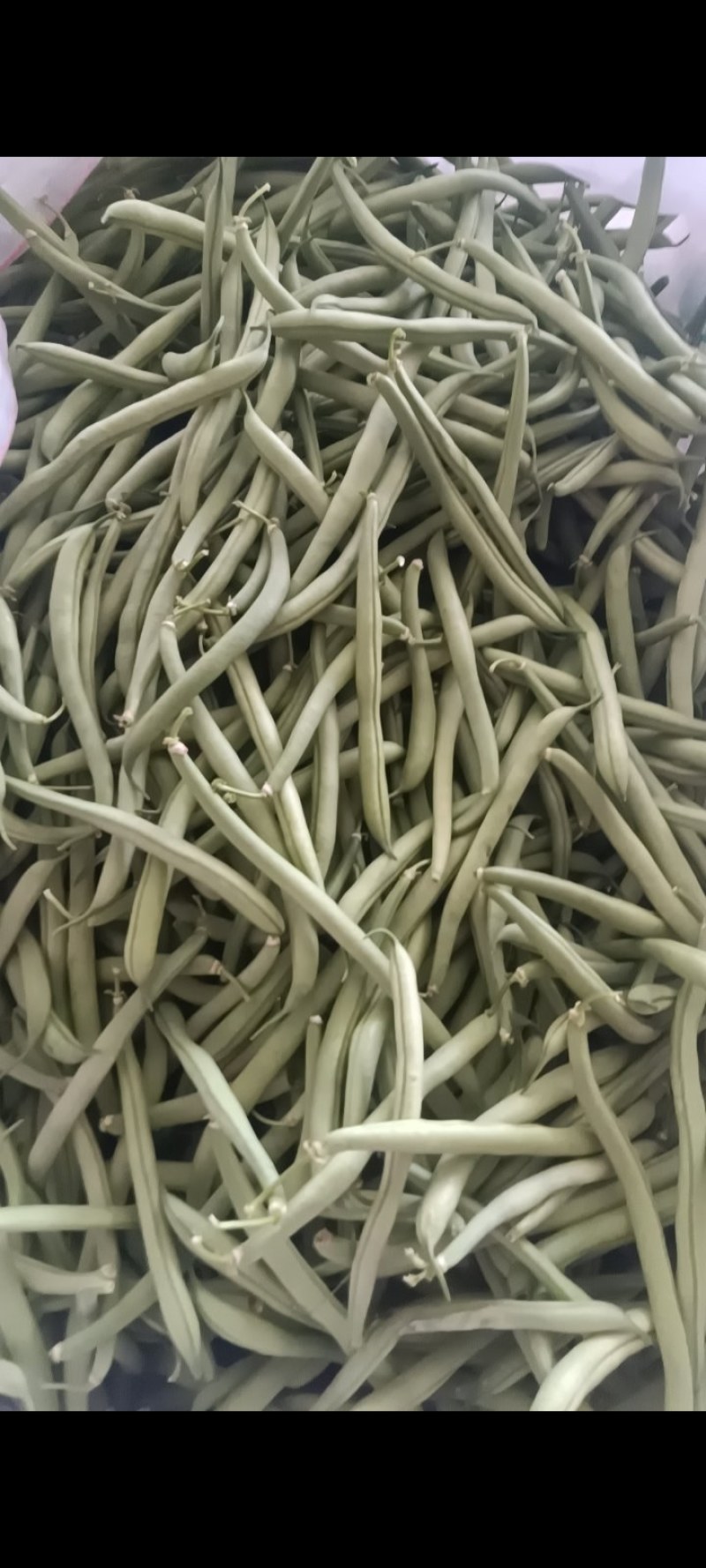 山西朔州应县精品地豆产地直销可供电商