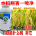 海纳细艳-2%春雷霉素水稻真菌细菌性病害杀菌剂