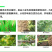 海纳细艳-2%春雷霉素水稻真菌细菌性病害杀菌剂